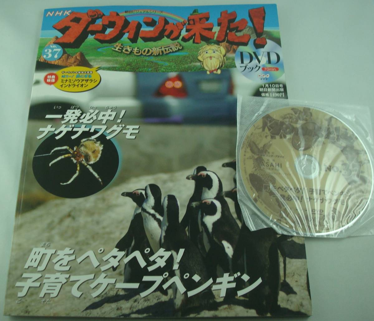 NHKダーウィンが来た！DVDブック 1-37巻セット
