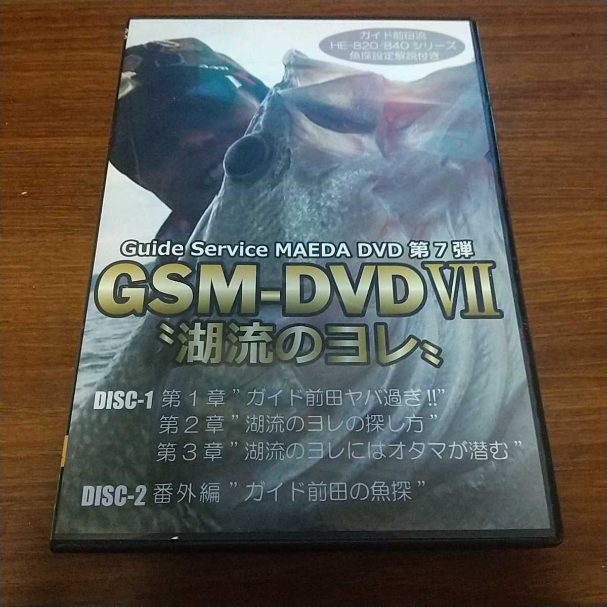 GSM-DVDⅦ ガイド前田 湖流のヨレ