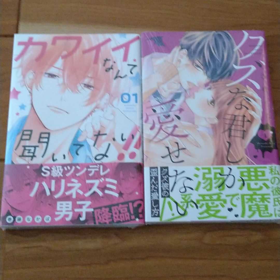 1巻 カワイイなんて聞いてない 1 クズな君しか愛せない1 シュリンク未読 2冊セット の落札情報詳細 ヤフオク落札価格情報 オークフリー スマートフォン版