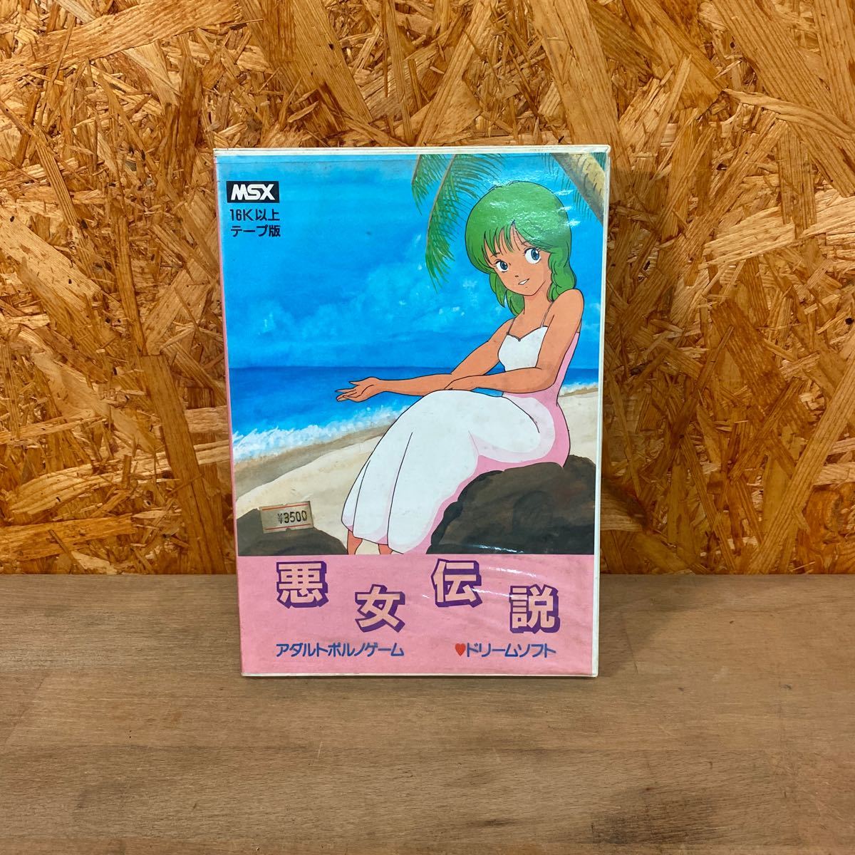 MSXテープソフト聖女伝説 ＭＳＸテープ版エロゲー 『聖女伝説』 | 昭和50年生まれ ふたご座Ｂ型