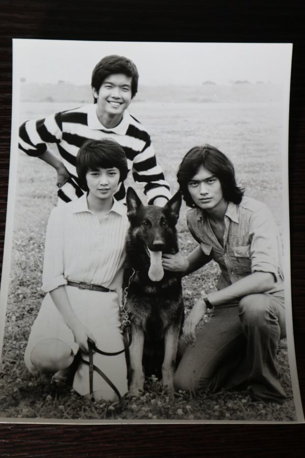 ケース付 刑事犬カール　DVD 全6巻　全巻セット　 木之内みどり 加納竜 ケース付 刑事犬カール DVD 全6巻 全巻セット 木之内みどり 加納竜