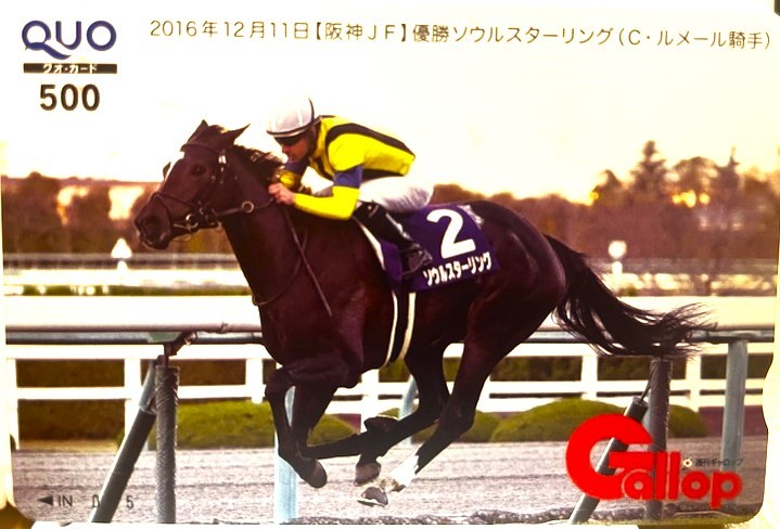非売品ソウルスターリング　オークス勝利記念品 非売品ソウルスターリング オークス勝利記念品 2025年最新