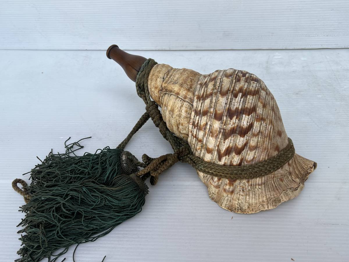 TO07 法螺貝 唄口付 ほら貝 全長43.3cm/ 能楽 山伏 密教 修験 仏像