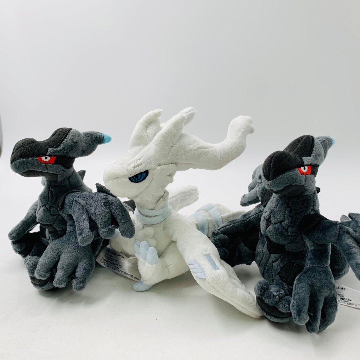 ポケモンセンター コレクタブルアートPG『Nのゼクロム』