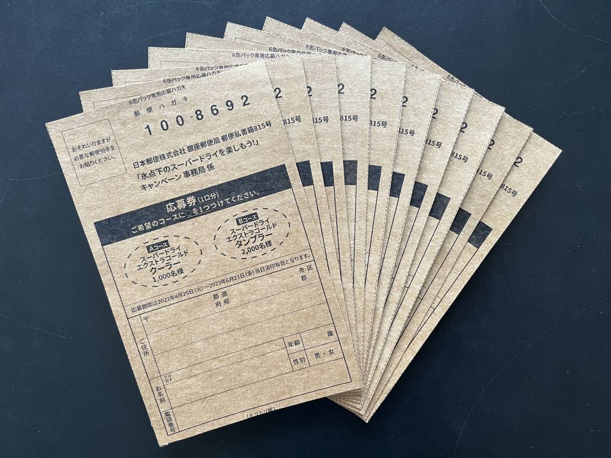 スーパードライ エクストラコールドクーラー （Aコース）2023 【公式通販】