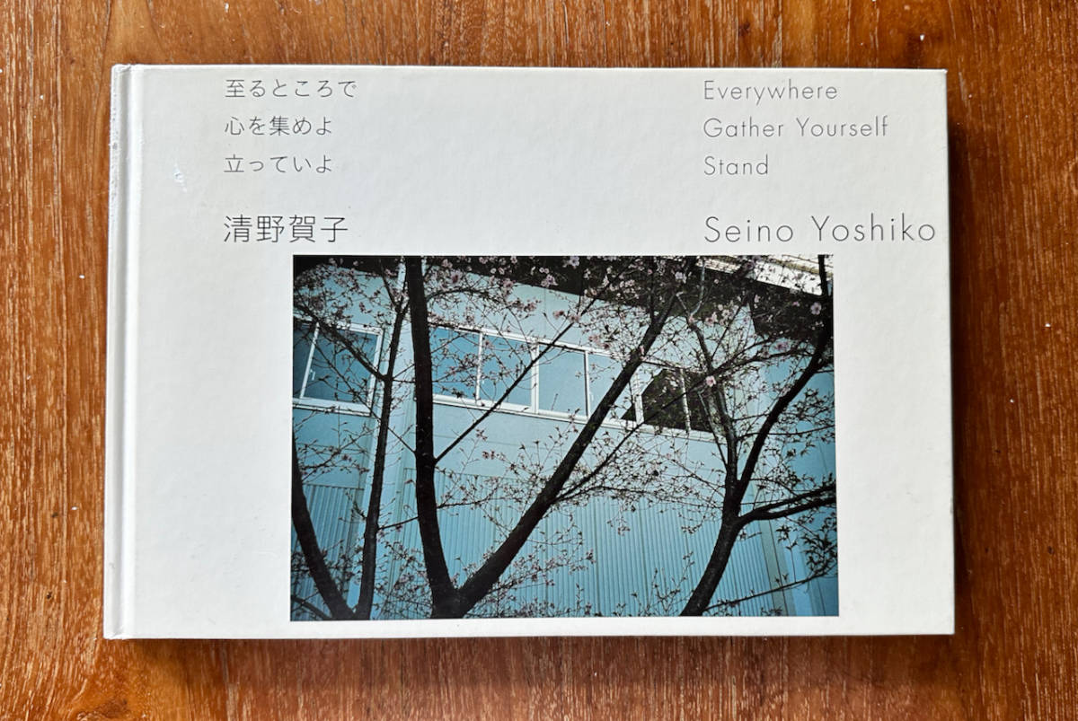 清野賀子　ー　至るところで心を集めよ立っていよ 清野賀子『至るところで 心を集めよ 立っていよ』