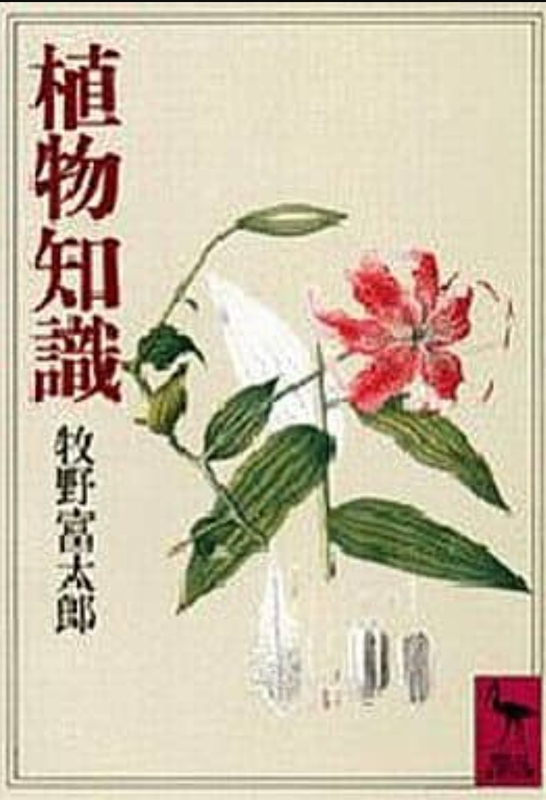 牧野日本植物図鑑 牧野富太郎著　初版　NHK「らんまん」のモデル 朝ドラ「らんまん」モデルの植物学者・牧野富太郎博士の図鑑初版