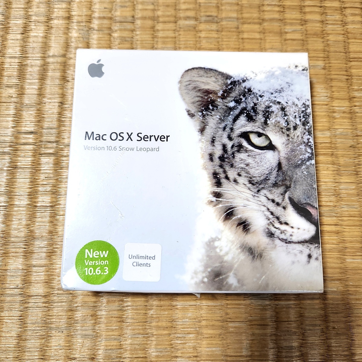 110118 アマゾン スノー レオパード 500