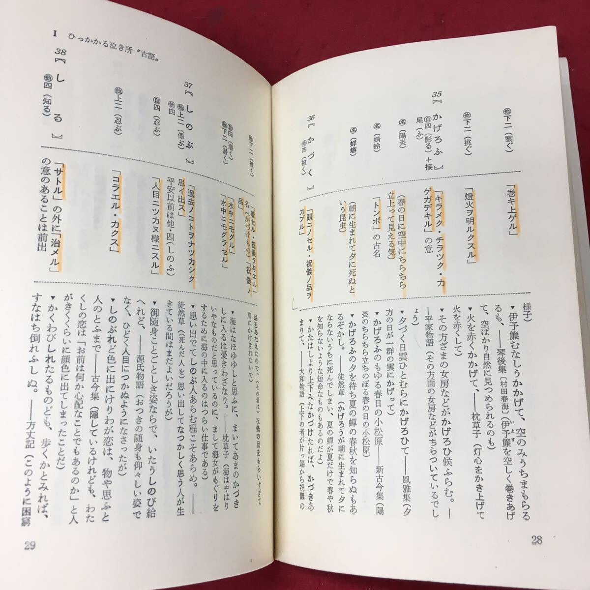 ☆花真衣 刺青 写真集 SMマニア増刊 横浜彫友睦会 三代目彫よし
