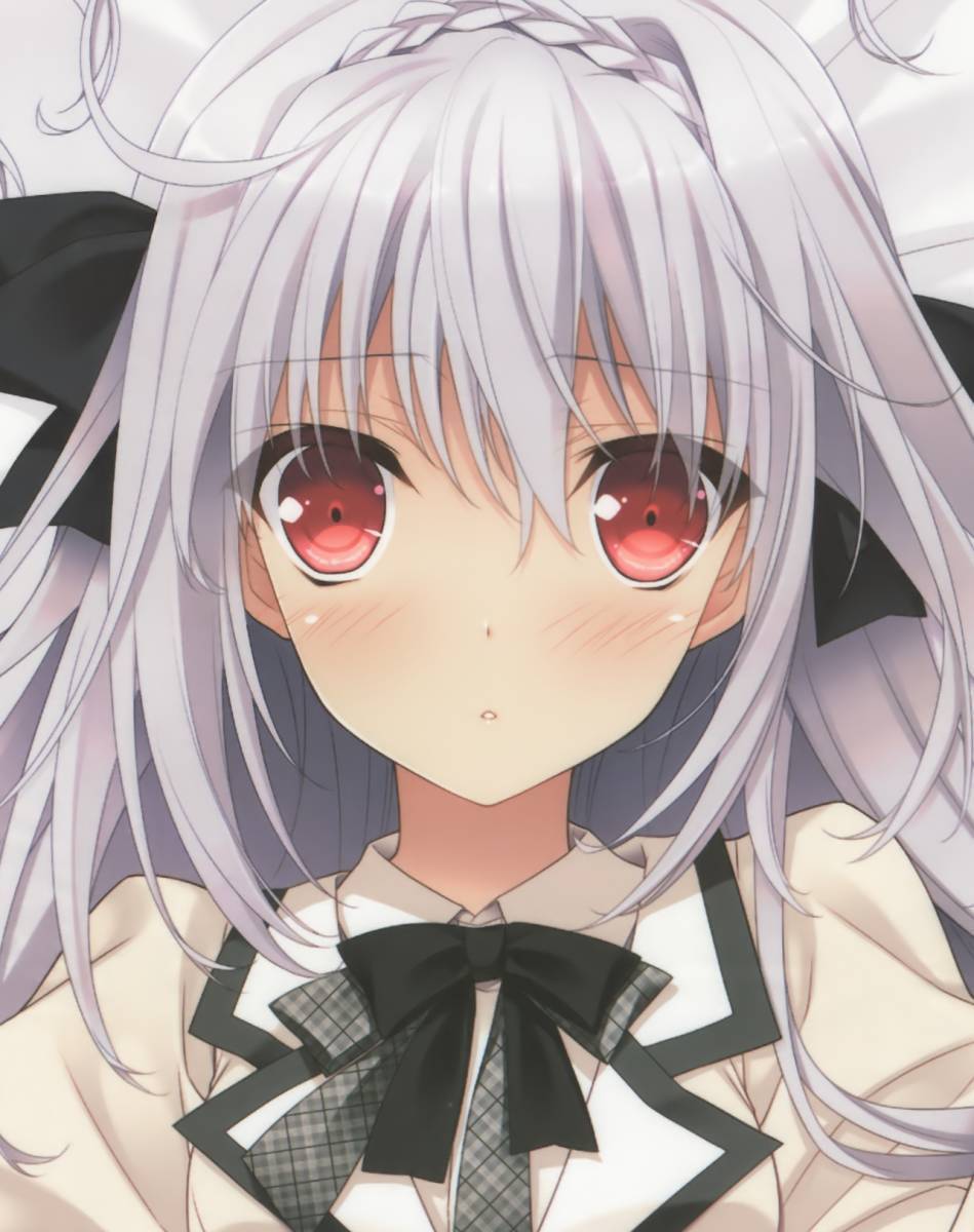 月に寄りそう乙女の作法 桜小路ルナ 猫耳 抱き枕カバー