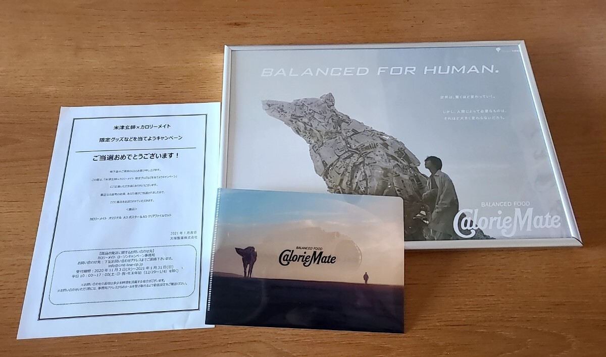 米津 カロリーメイト 非売品ポスター&クリアファイル 非売品】米津玄師