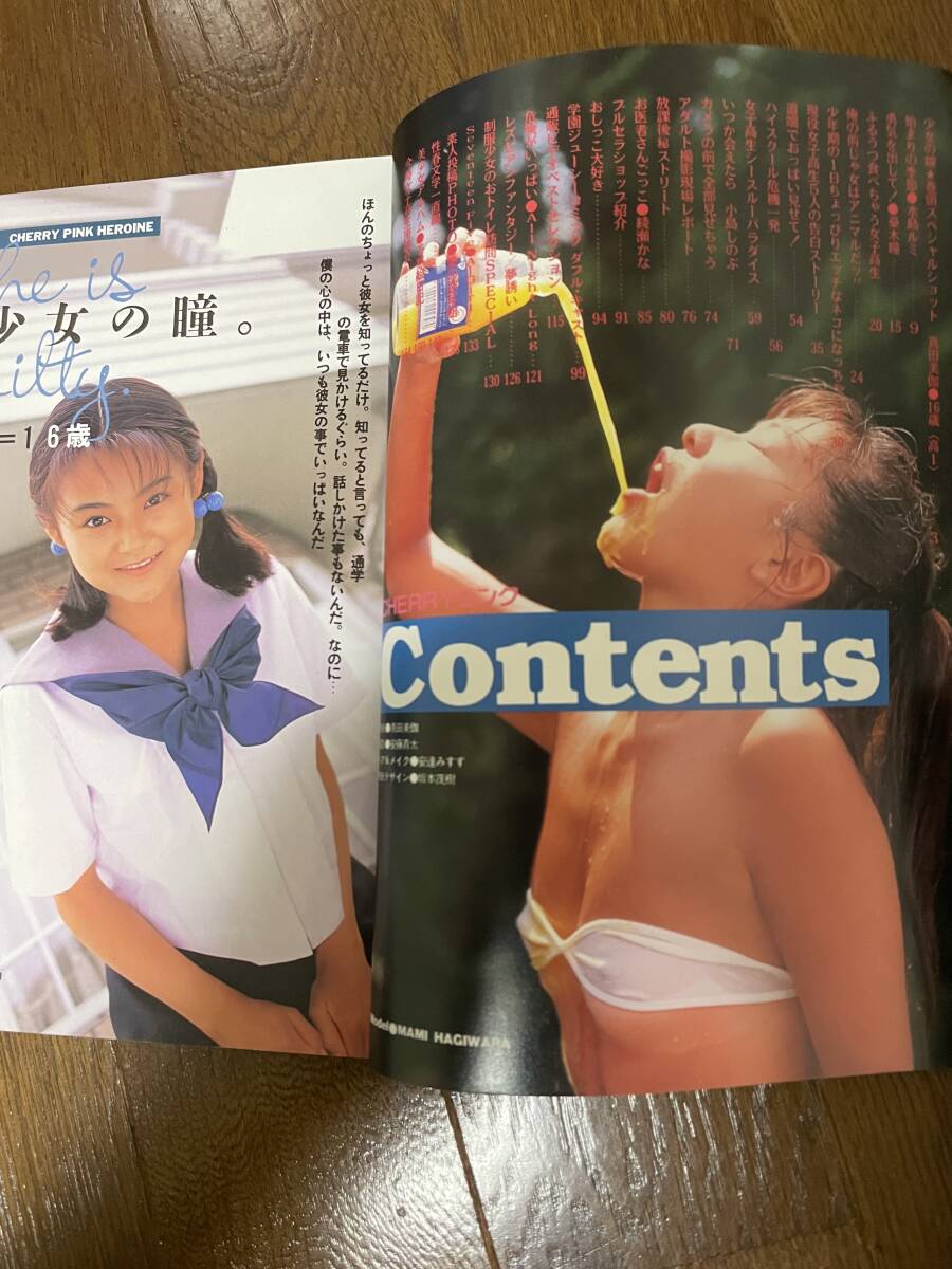 ☆セーラーメイトDX増刊『 CHERRYピンク 1993年10月号 』◎真田