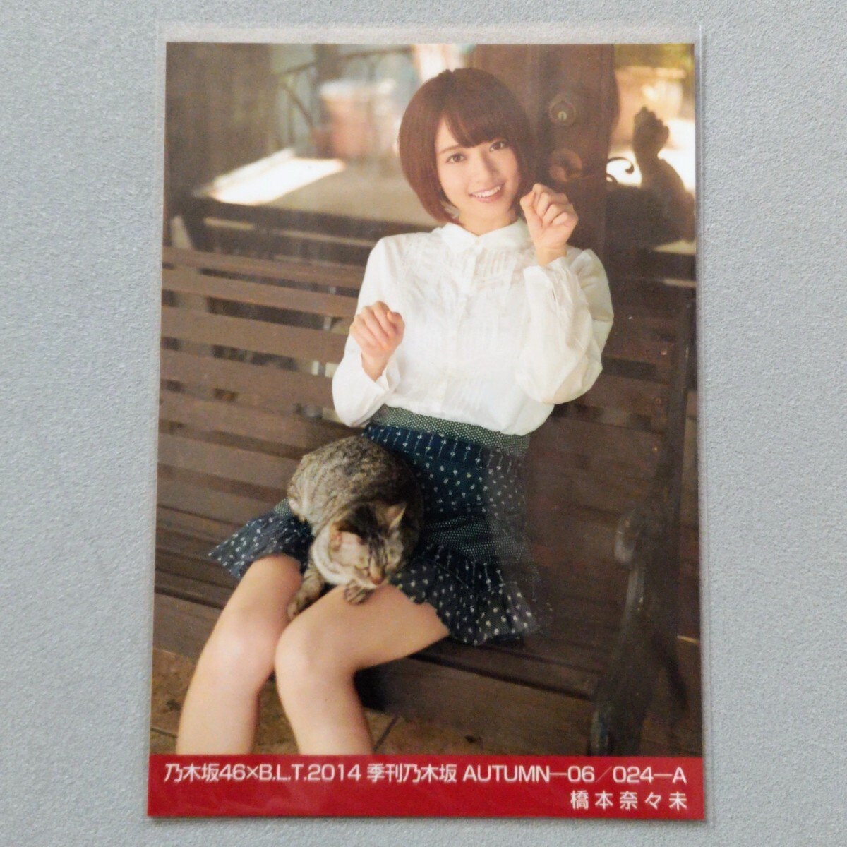 乃木坂46 生写真 パジャマシャツ 乃木坂46 生写真 パジャマシャツ