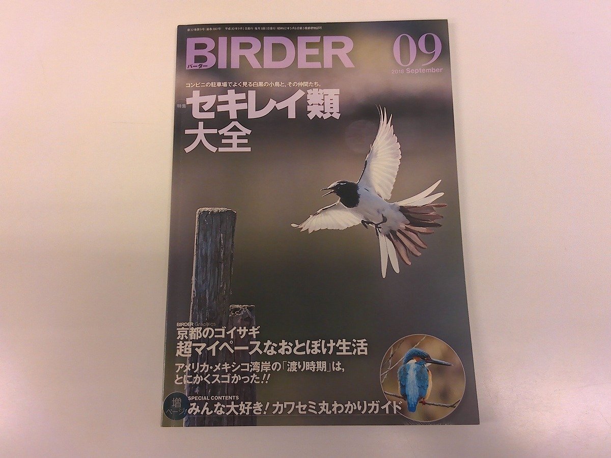 目立った傷や汚れなし】【純】野々内 良樹「日本画12号”緑映（鳥名