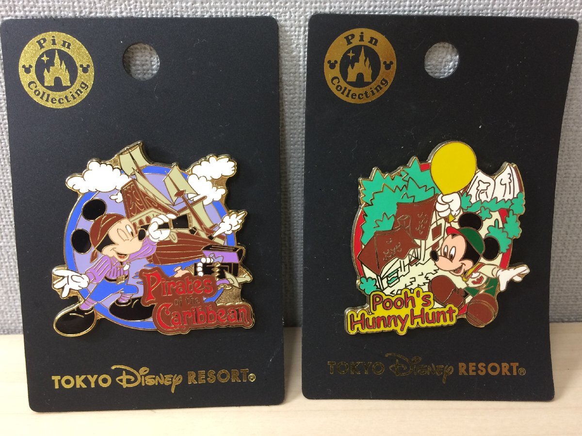 ディズニー ディズニーストア ナース ミニー フィガロ ピン