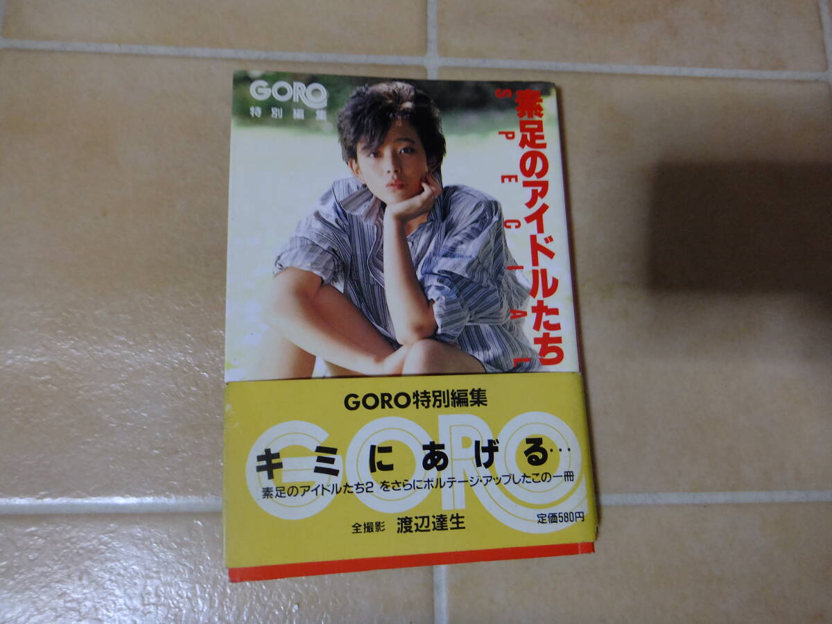 松田聖子 河合奈保子 柏原芳恵 三原順子 藤谷美和子 アイドル・カレンダー 水着(河合奈保子/松田聖子/石川ひとみ/甲斐智枝美他) 寺尾聰