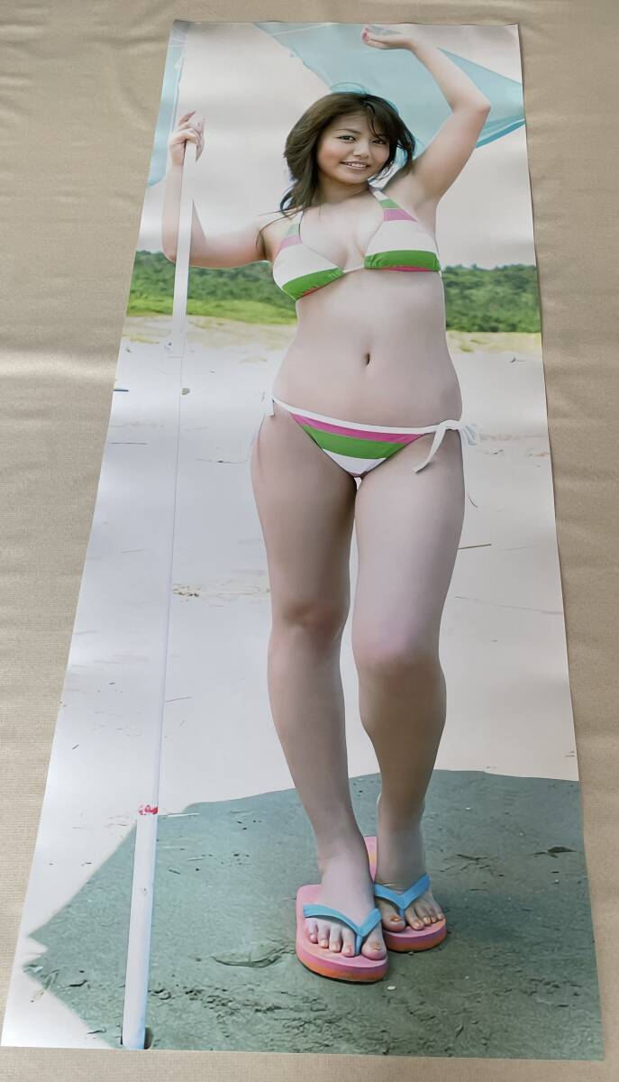 磯山さやか EX大衆 等身大ポスター未開封付き