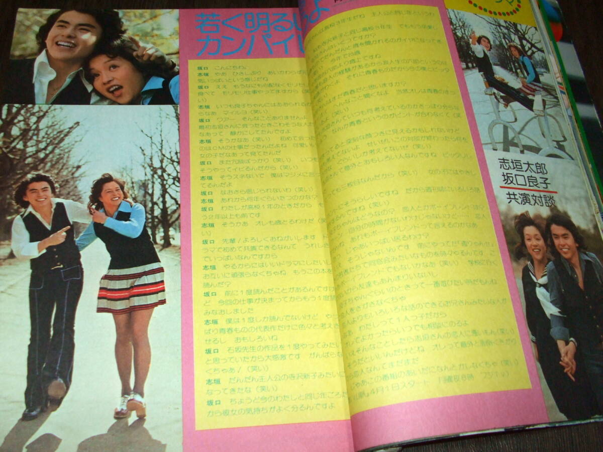 スターランド  郷ひろみ 西城秀樹 山口百恵 アグネス チャン  桜田淳子 スターランド 郷ひろみ 西城秀樹 山口百恵 アグネス チャン 桜田淳子