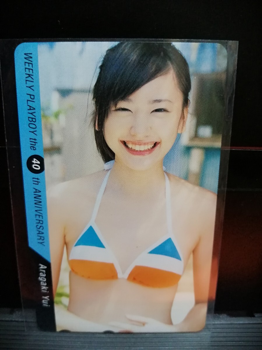 レア入手困難】安田美沙子 等身大ポスター プレイボーイ38周年