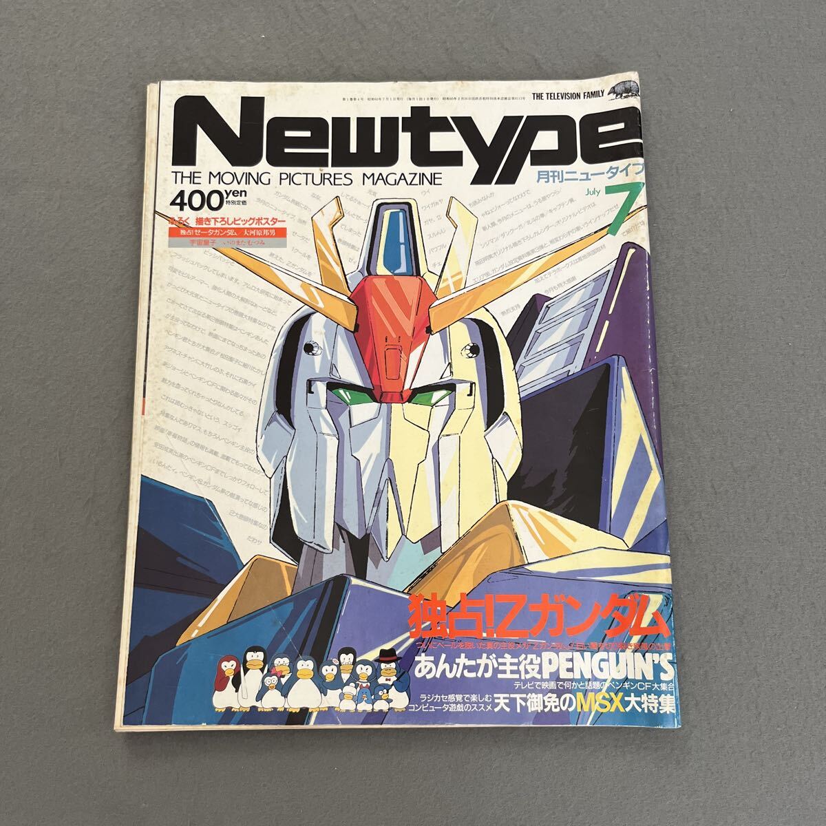 ポスター 月刊ニュータイプ付録 Zガンダム フォウムラサメ