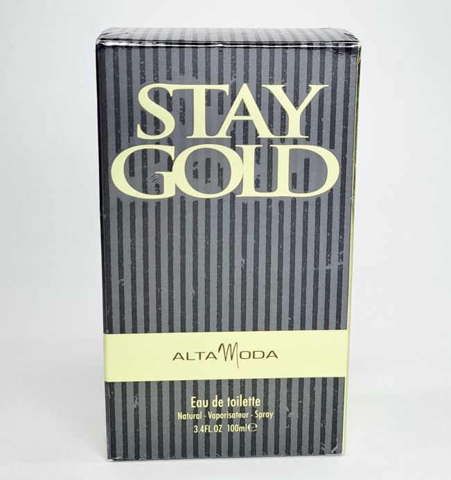 やや傷や汚れあり】ステイ・ゴールド STAY GOLD(1988)□VHS/深津