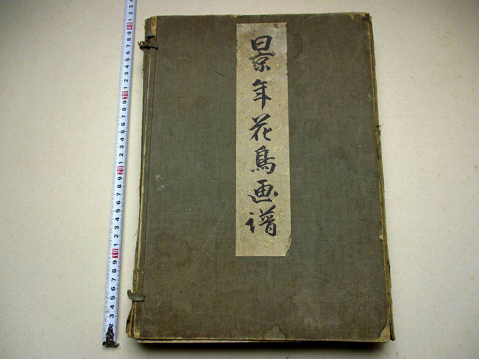 真作】【WISH】今井景樹 「朧月垂枝桜」日本画 掛軸 絹本 共箱 ◇1891
