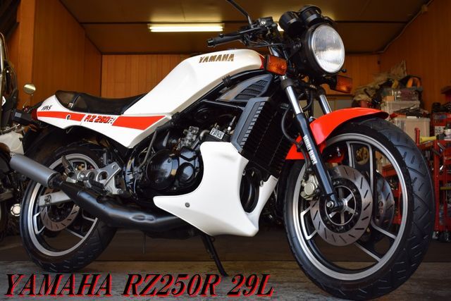 目立った傷や汚れなし】【真作】【WISH】佐藤照雄「薔薇の幸子 I」油彩