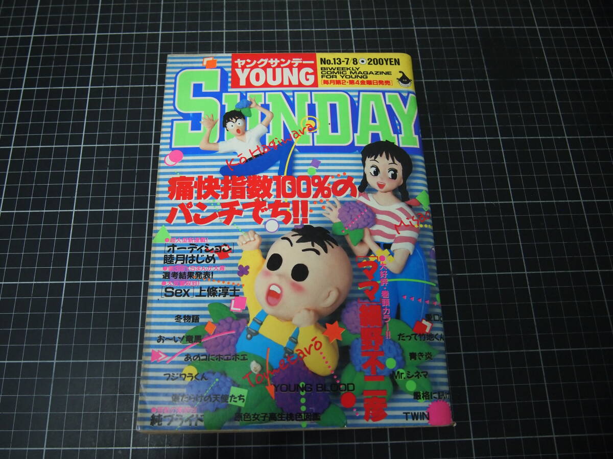 ヤングサンデー YOUNG SUNDAY 小学館 1995年5号 華原朋美 遠峯ありさ