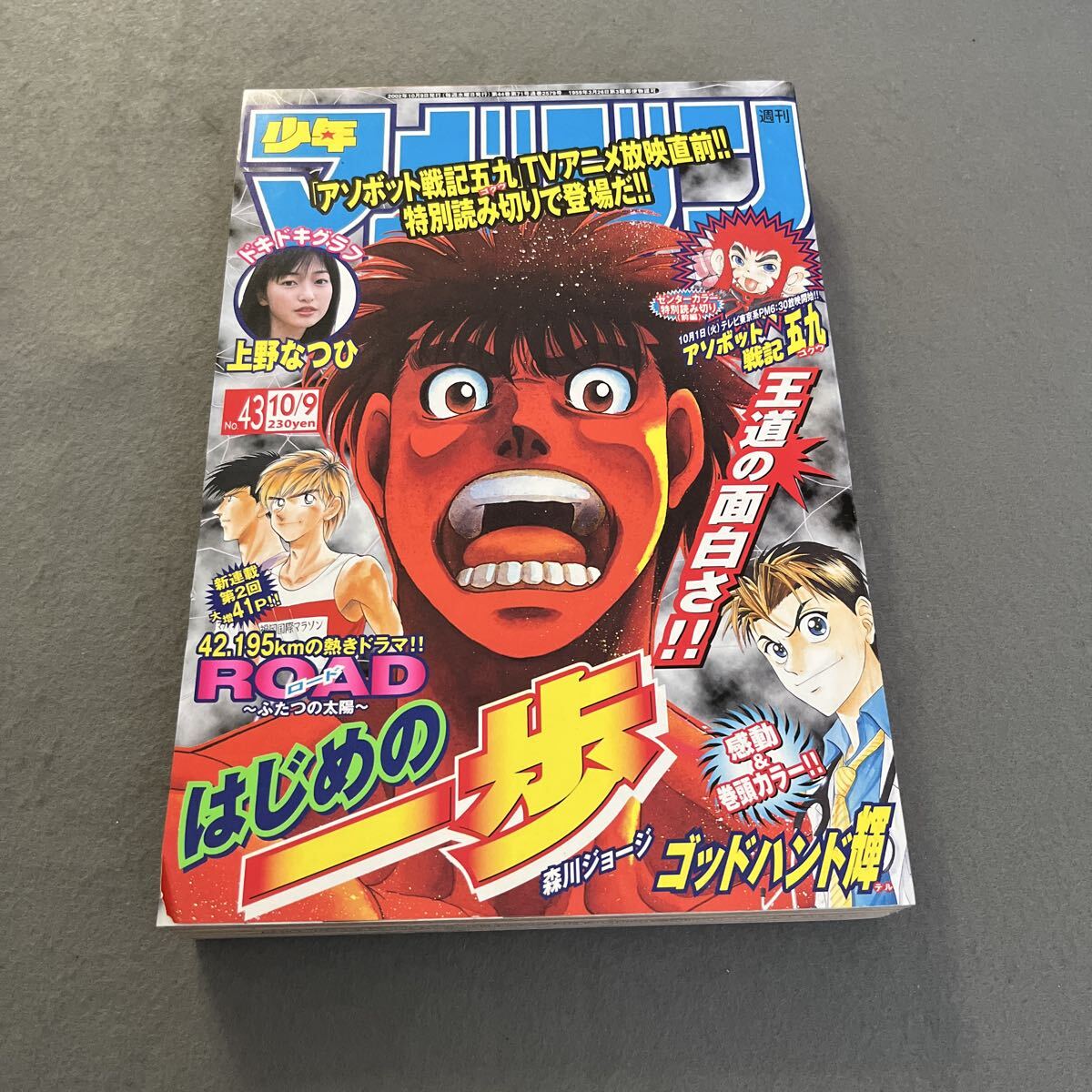 190403s005◇週刊少年マガジン 2004年25号/井上和香/探偵学園Q/ステイ
