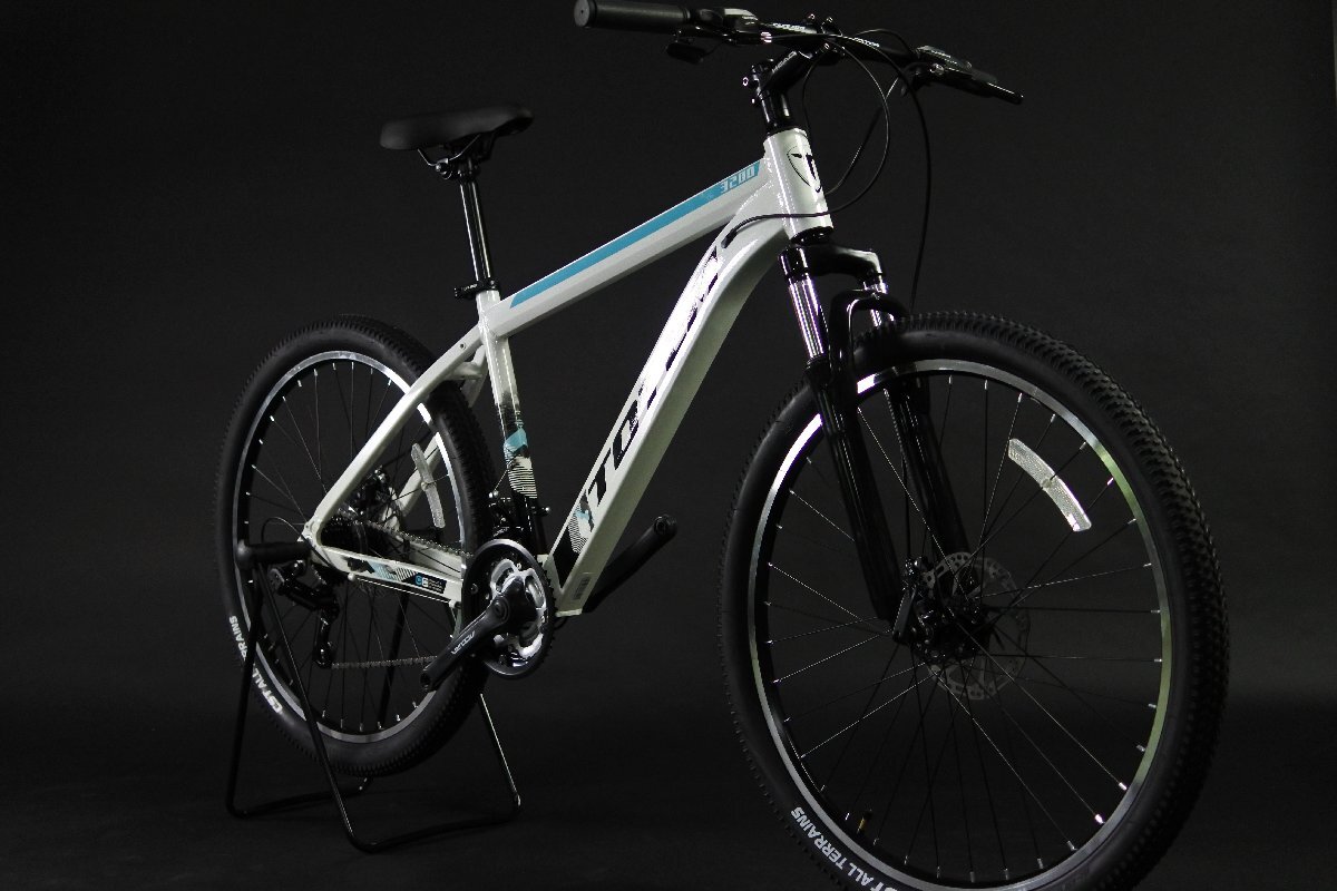 マウンテンバイク 24インチ フルサス GIANT WARP DS-1 8段変速 W