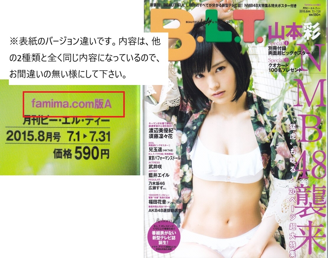 山本彩 生写真 水着 blt graph. famima.com ver. 3 目立った傷や汚れなし】○山本彩○生写真 3枚セット NMB48×B.L.T. 2014