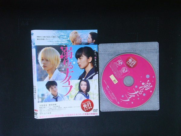 新品】 当選 小松菜奈 菅田将暉 チェキ 直筆サイン入り（ 当選通知書