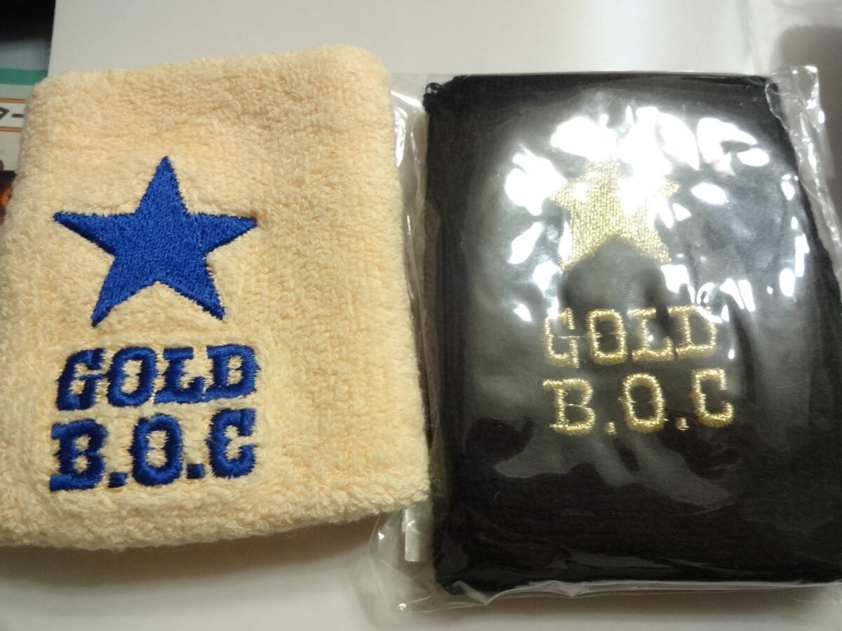 BUMP OF CHICKEN パーカー GOLD GLIDER TOUR/Mサイズ グッズ/【20の