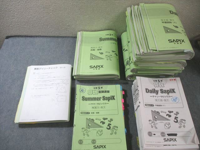 ◇希少原本書き込みなし◇サピックス SAPIX 小4 国語 デイリーチェック