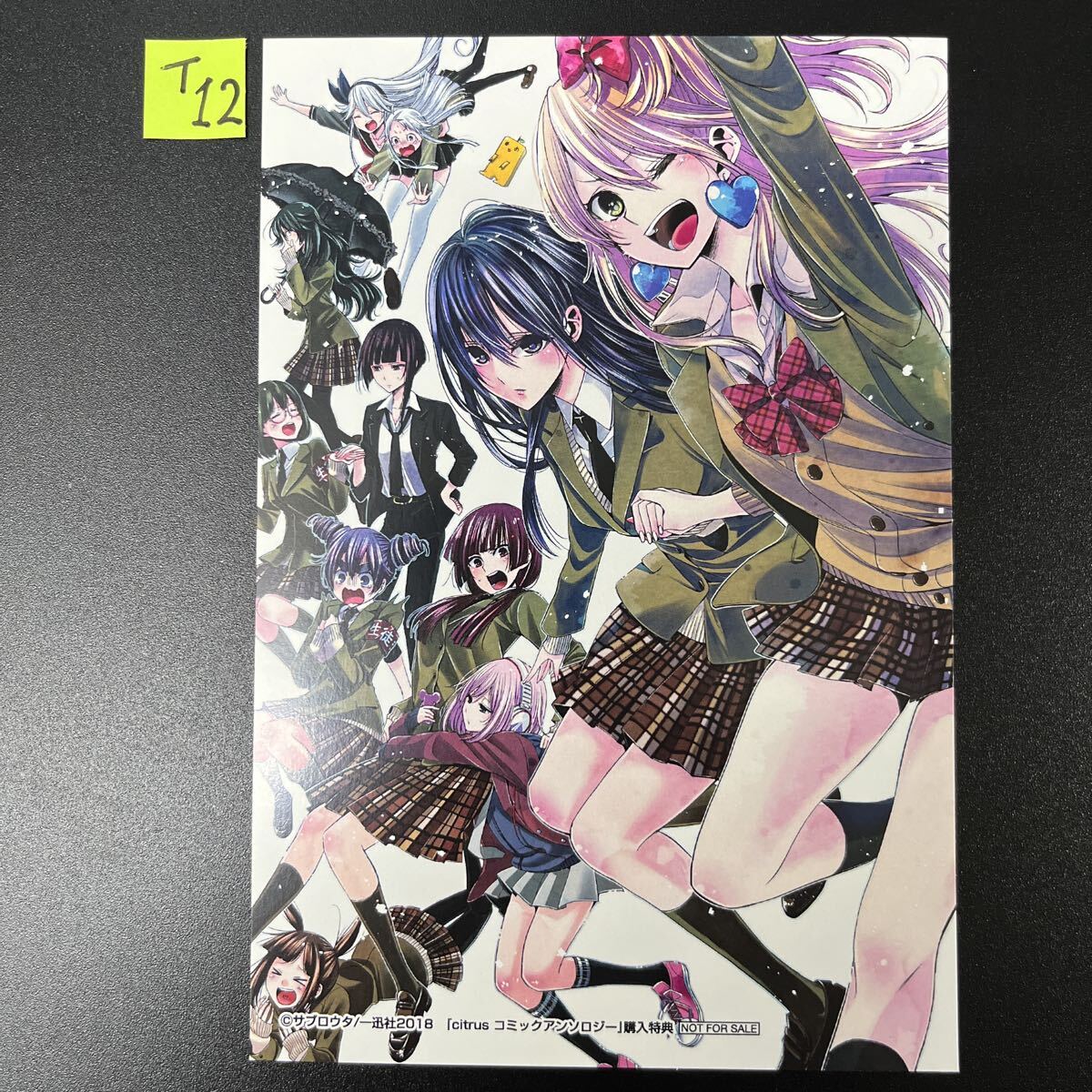 新品】citrus シトラス 6巻 ゲーマーズ購入特典ブロマイド サブロウタ
