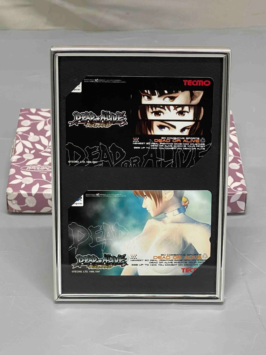 2枚 DEAD OR ALIVE ポスター 霞 かすみ DOA4 DOA ultimate 非売品 B2