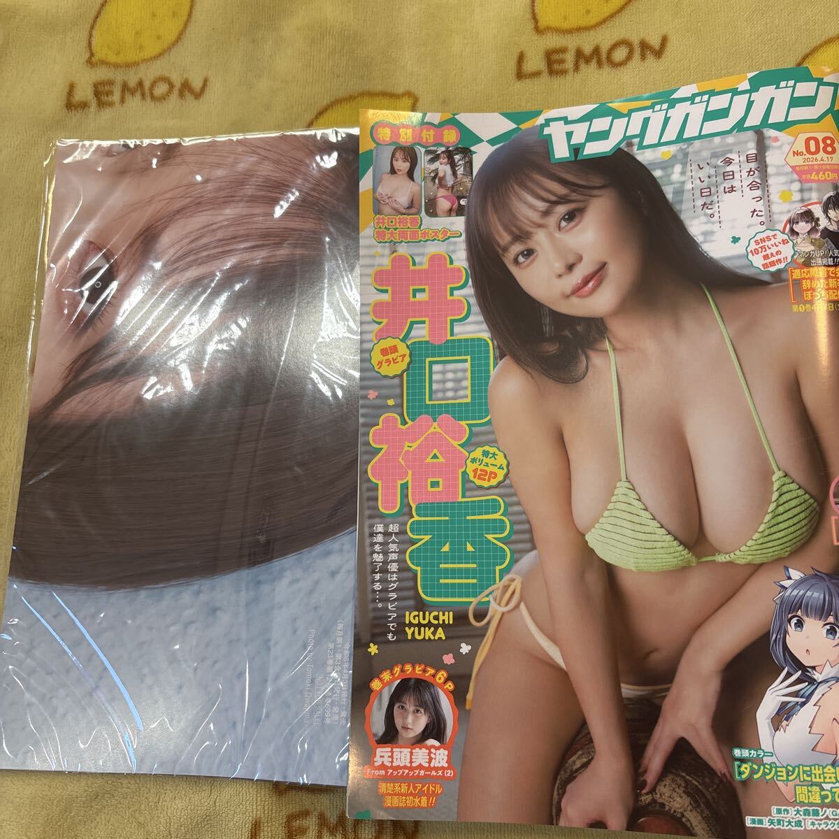 新品】小池里奈＆小池唯 ☆特大両面ポスター☆ ヤングガンガン特別付録