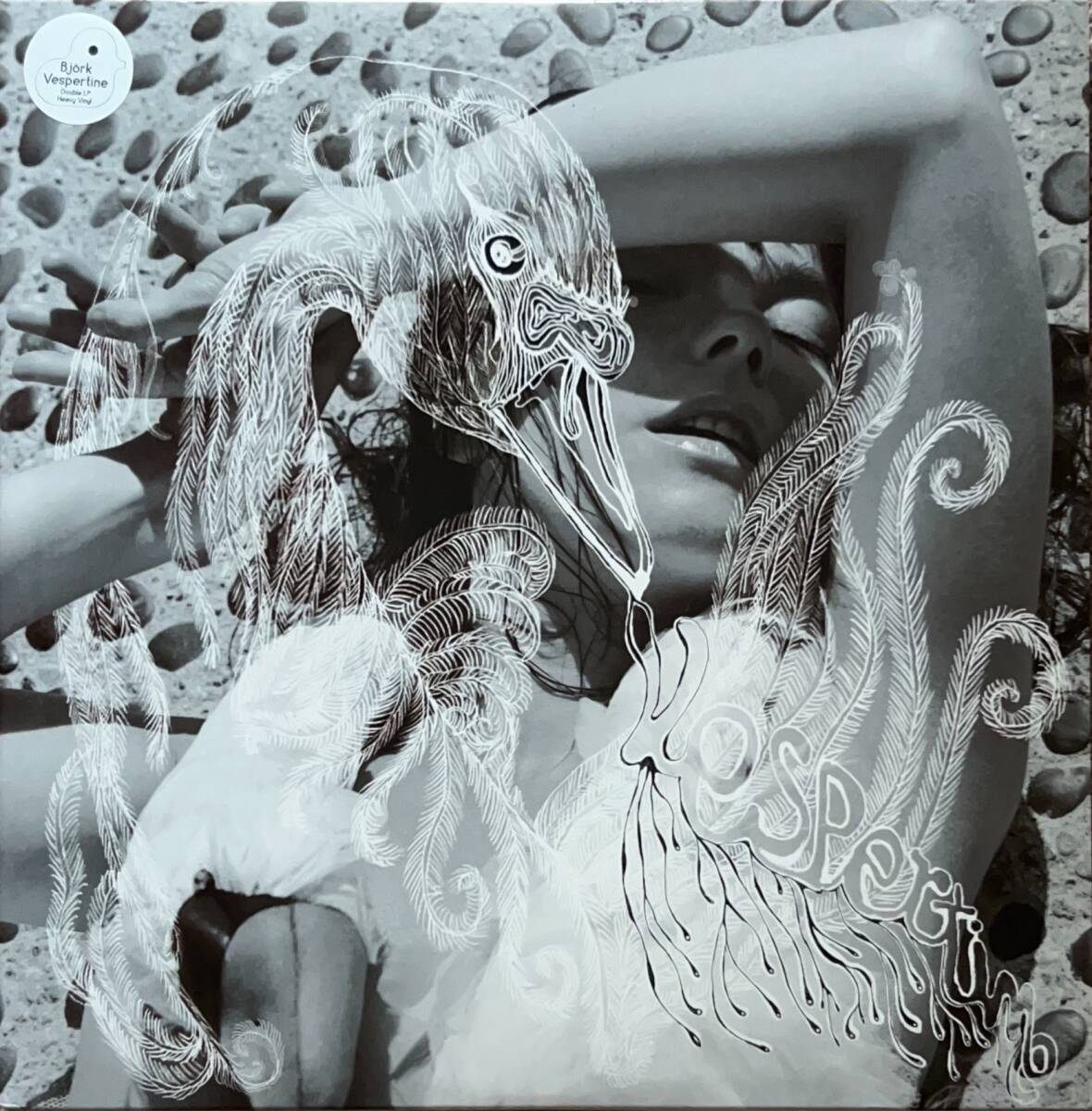 やや傷や汚れあり （詳細）】ビョーク 「ヴェスパタイン」、 Bjork