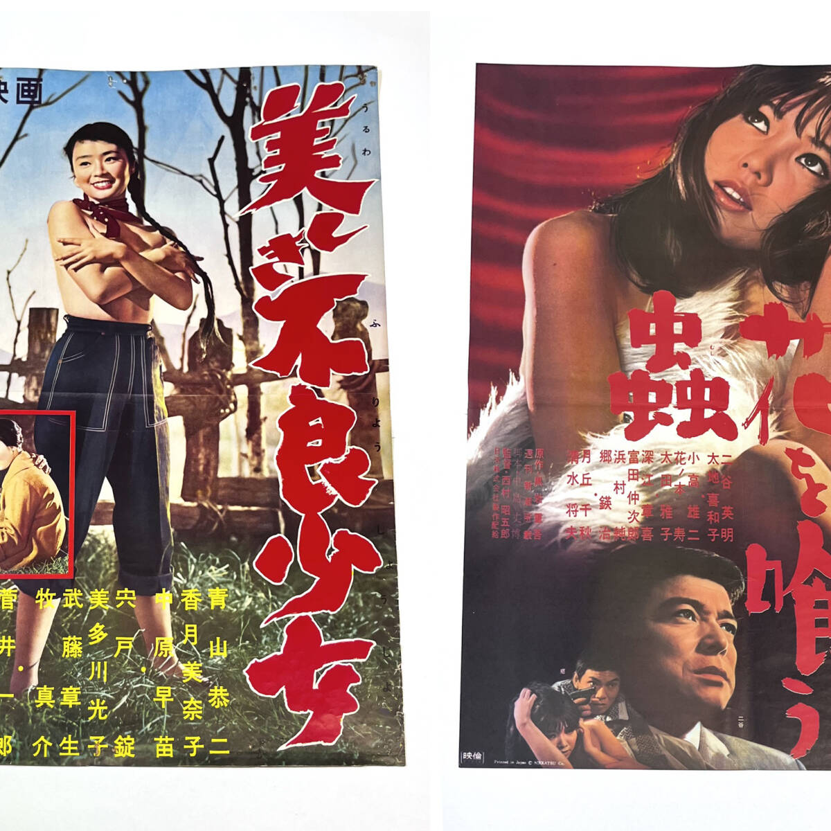◇日活映画ポスター「横を向いた青春」監督/中島義次◇川地民夫 香月