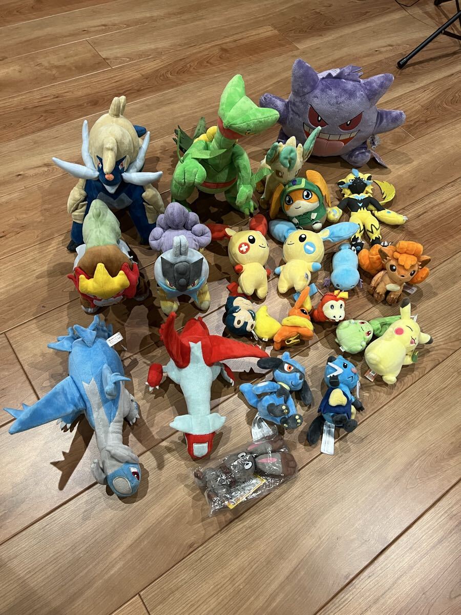 TOMY ラティオス＆ラティアス ポケモン ペアぬいぐるみ の落札情報詳細
