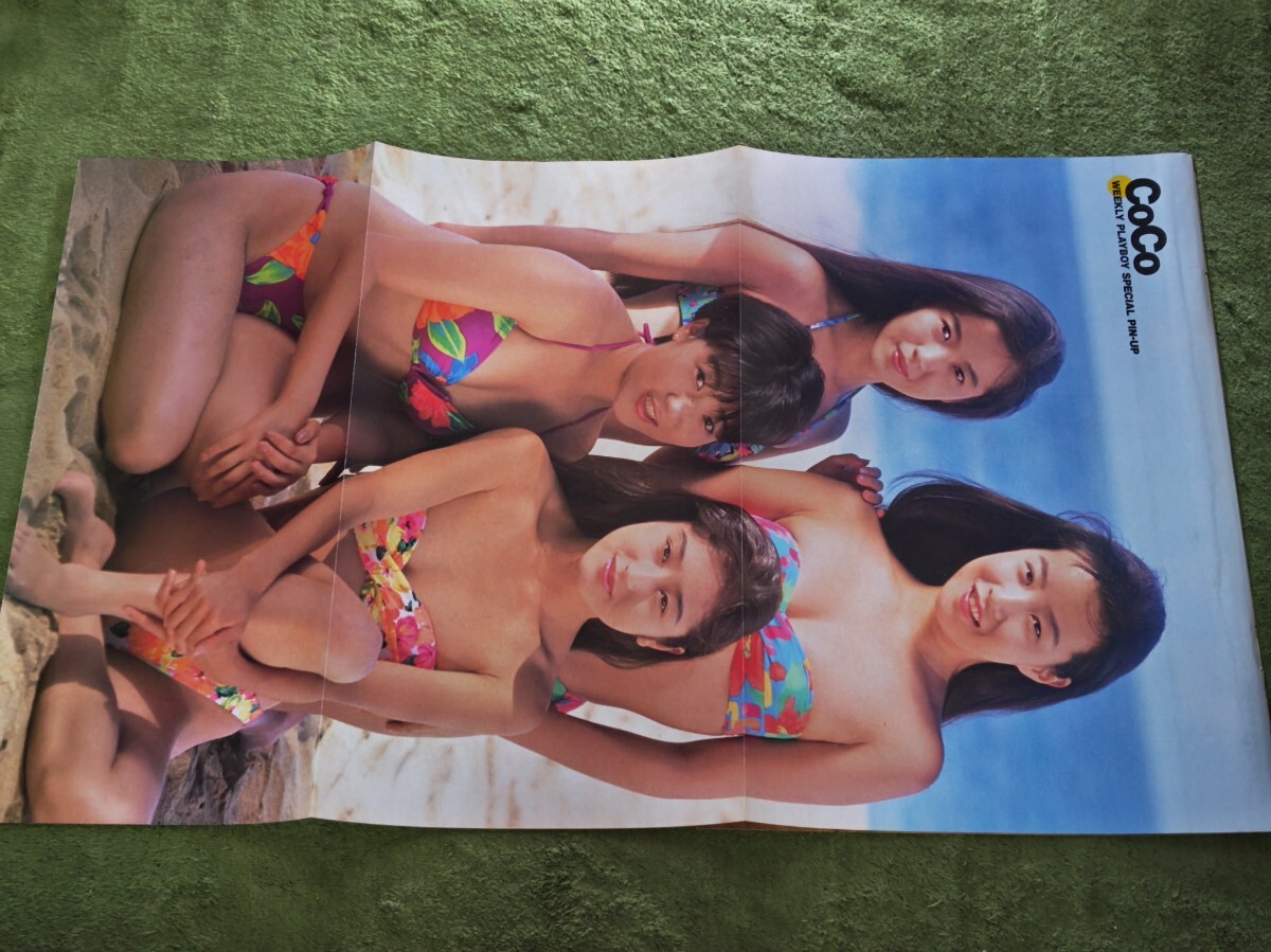 JA020○ CoCO、三浦理恵子、羽田恵理香、能勢あづさ シングル(8cm)CD13