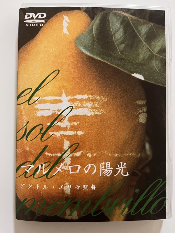 中古】洋書 Antonio Lopez Garcia / Drawings / アントニオ・ロペス