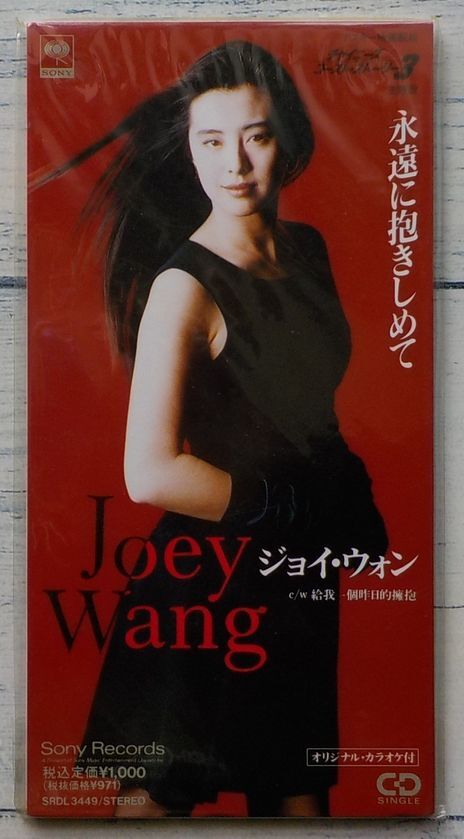 ジョイ・ウォンの聖女伝説(1993)□VHS/ジョイ・ウォン/チャン