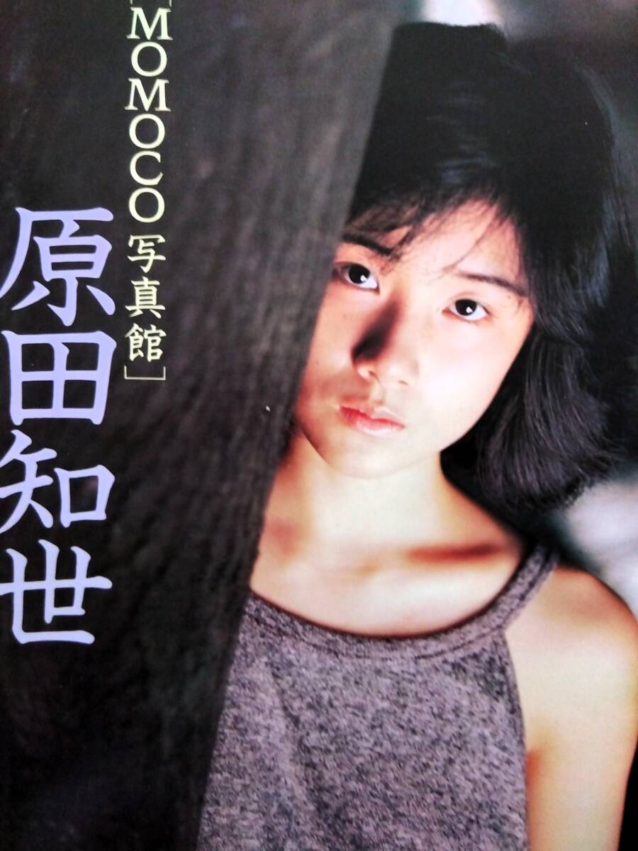 誘惑者(1989)□VHS/秋吉久美子/草刈正雄/原田貴和子/磯部勉/石橋