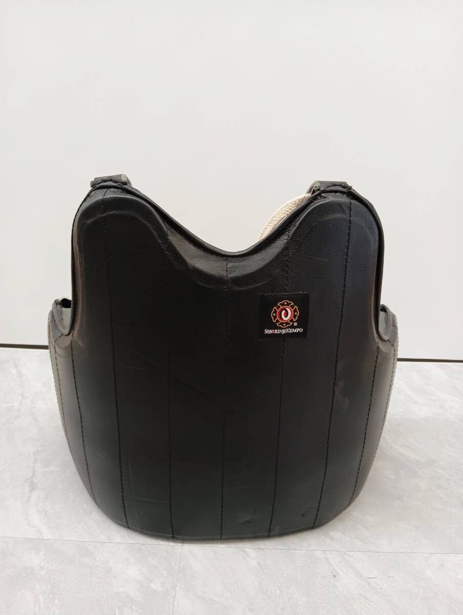 非売品】『門外秘 正統少林寺拳法 整体医法秘譜』宗道臣活法経絡経穴