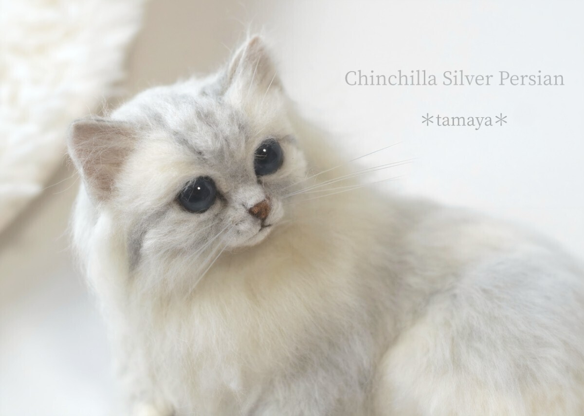 新品】funwari□□□ 羊毛フェルト ペルシャ チンチラシルバー 子猫