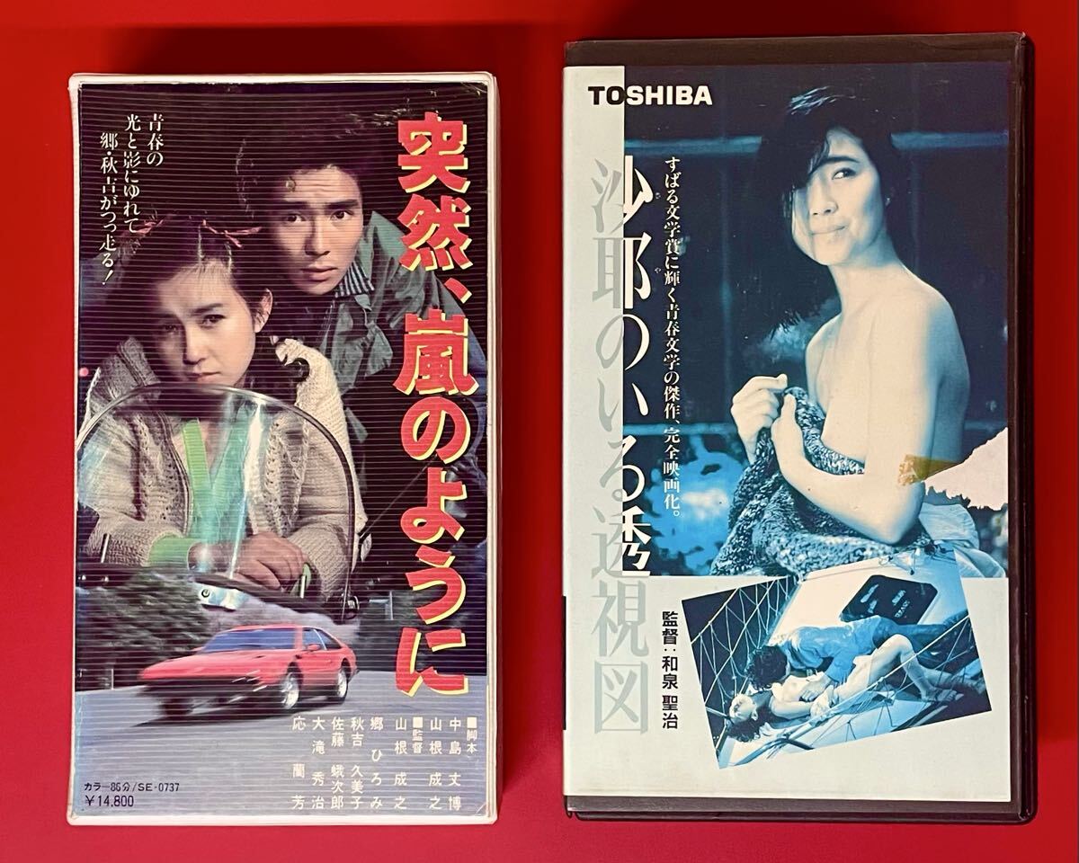 やや傷や汚れあり】沙耶のいる透視図(1984)□VHS/高樹沙耶/名高達郎