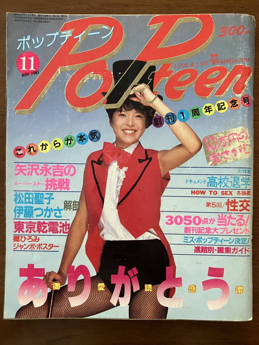 ポップティーン2007年 益若つばさ モデル(菅野結以/星野加奈/平有紀子