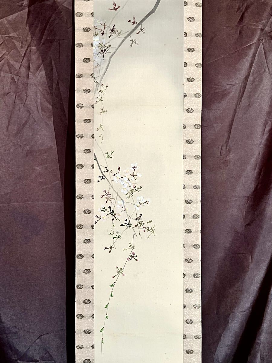 真作】【WISH】今井景樹 「朧月垂枝桜」日本画 掛軸 絹本 共箱 ◇1891
