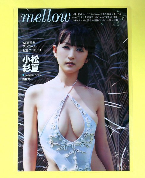 目立った傷や汚れなし】【厚手ラミネート加工】金子栞 水着 雑誌